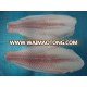 Frozen Pangasius Untrimmed