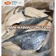 Fresh catching fish IQF frozen mahi mahi fillet for sale