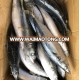 Sea Frozen Mackerel (frozen on boat) 300-500g