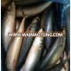 Frozen Pacific Mackerel/scomber Japonicus