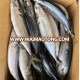 Best Frozen Seafood Fish Frozen Mackerel